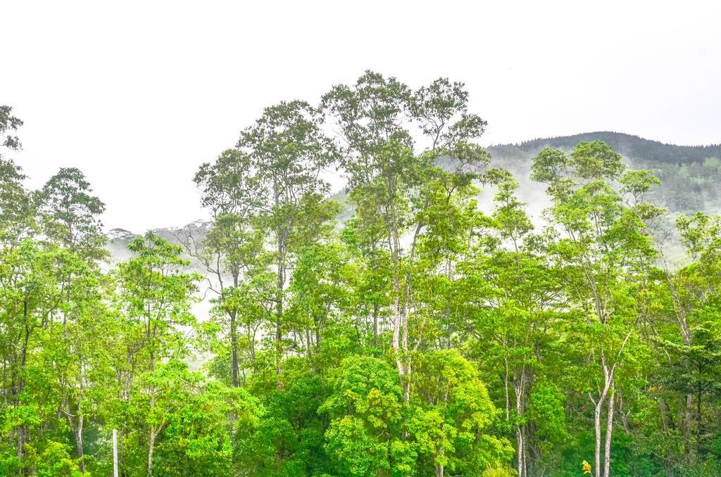 Hanthana Holiday Rooms Kandy Luaran gambar